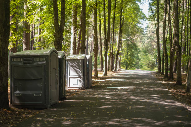 Professional porta potty rental in Seymour, TX